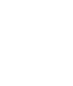 travellers choice